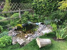 a garden filled with lots of different types of plants and rocks next to a pond