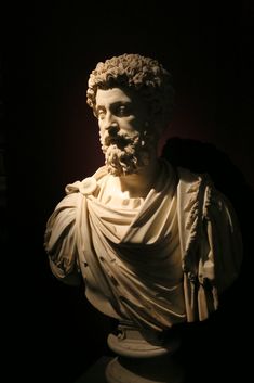 the bust of an ancient man with a beard