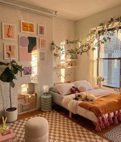 a bedroom with a bed, plant and pictures on the wall