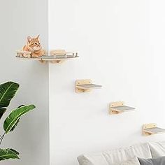 a cat sitting on top of a wooden shelf next to a white couch in a living room