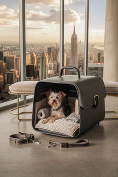 a small dog is sitting in a carrier on the floor next to a large window