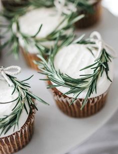 cupcakes decorated with white frosting and green sprigs