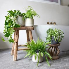 three potted plants sitting next to each other on a wooden stool in front of a white wall