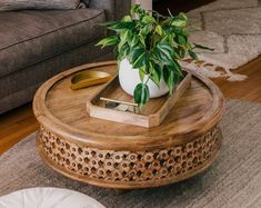 a potted plant sitting on top of a wooden table in front of a couch