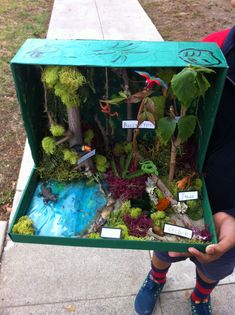 a child holding up a box filled with plants and small figures on the side walk