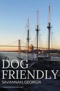 the dog friendly savannah, georgia is featured in this postcard from sarana moore's book