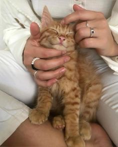 a woman is holding a small kitten in her lap while wearing rings and bracelets