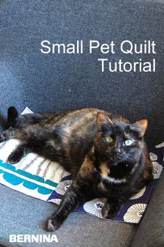 a cat laying on top of a chair with the caption small pet quilts