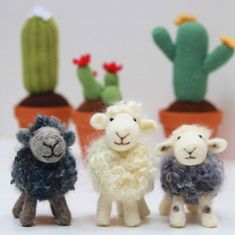 three small sheep standing next to each other in front of cacti and succulents