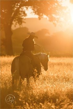 a cowboy riding on the back of a brown horse in a grassy field at sunset