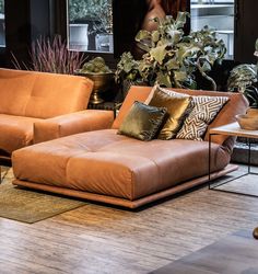 Das flexible Sofa Rika von Bullfrog Design ist handgefertigt in Deutschland und individuell einstellbarDie Rückenlehne lässt sich verstellen und das gesamte Polstermöbel auf einer Schiene verschiebendesignsofa ledersofa funktionssofa möbelhaushamburg sofaideen bullfrogdesign Flexible Sofa, Small Sectional Sofa, Latest Sofa Designs, Wooden Sofa Set Designs, Drawing Room Interior Design, Living Room Themes, Unique Sofas, Sofa Set Designs, Sofa Styling