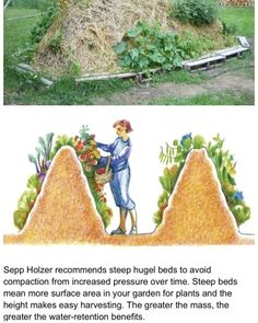 an image of a garden with plants growing out of it and the words, how to grow