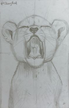 a drawing of a bear with its mouth open