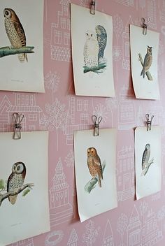 four owls are hanging on the wall in front of pink wallpaper with white designs