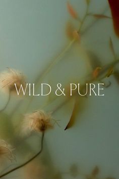 the words wild and pure are displayed in front of a blurry image of flowers