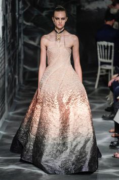 2019 Couture, Fairytale Fashion, Golden Ticket, Catwalk Fashion, Best Dresses, Christian Dior Couture, 2017 Fashion Trends, Dior Couture, Fashion Show Collection