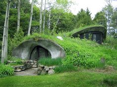 an image of a hobbot in the woods with grass growing on it's roof