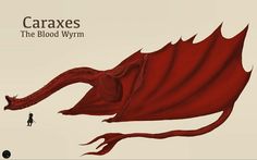 a red dragon flying through the air next to a person on a white background with text that reads, caraxes the blood wyrm