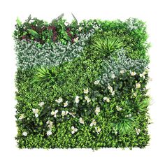 an image of a green wall with plants and flowers growing on the side, isolated against a white background