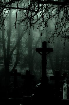 a cross in the middle of a cemetery surrounded by trees and leaves on a foggy day