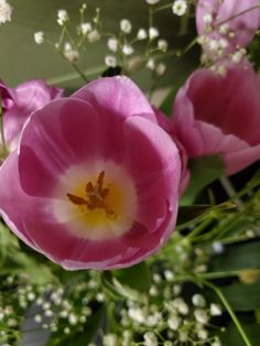 some pink flowers are in a vase with green leaves and baby's breath buds