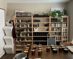 a room with shelves filled with jars and containers on the floor next to a potted plant