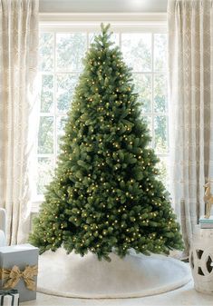 King of Christmas 9' Royal Fir Quick-Shape Artificial Christmas Tree with 1200 Warm White & Multi-Color LED Lights Full Christmas Tree, Realistic Christmas Trees, Realistic Artificial Christmas Trees, Fir Christmas Tree, Pre Lit Christmas Tree, Ultimate Christmas, Tree Shop, Metal Tree, Tree Shapes