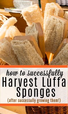 a basket full of bread sticks with the words how to successfully harvest, harvest, and grow