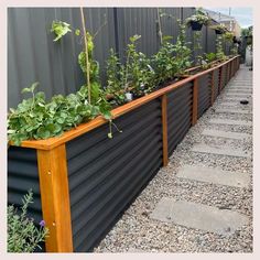 an outdoor garden with plants growing in the planter boxes on the side of the building