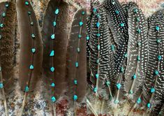 several feathers with turquoise dots on them