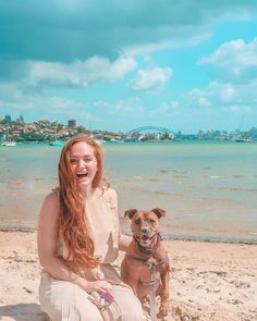 girl sat on the beach with a dog on rose bay beach in sydney harbour with the bridge in the background Smile Quotes For Instagram, English Staffy, Staffy Pups, Features Aesthetic, Staffordshire Bull Terriers, Magnetic Island, Cat Advice