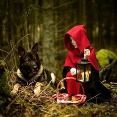 a little red riding hood sitting next to a dog in the woods with a lantern