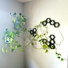 some plants are hanging on the wall next to a vase with flowers and leaves in it