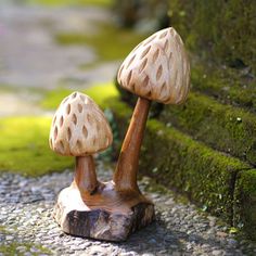 two mushrooms sitting on top of a rock