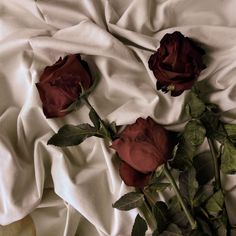 three red roses laying on top of a white sheet covered in sheets and leaves,