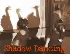 the shadow of a dancing cat is reflected in the mirror on the wall behind it