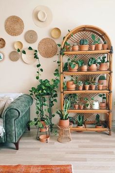 #outdoors #peace #tranquility #plants #plantlife #photography #photooftheday #wicker #eyes #comfortable #bohemian #bohemianstyle #bohobedroom #houseinterior Burnt Orange And Sage Green Home Decor, Terracotta Bedroom Aesthetic, Terracotta And Sage Living Room, Sage And Terracotta Living Room, Sage And Terracotta Bedroom, Terracotta Apartment, Orange And Green Bedroom, Terracotta And Green Bedroom, Sage And Terracotta