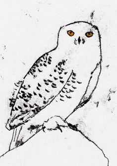 a drawing of an owl sitting on top of a tree branch with bright yellow eyes