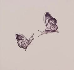 two butterflies flying side by side in the air, one has its wings open and the other is upside down