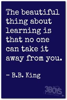 the beautiful thing about learning is that no one can take it away from you - b b king