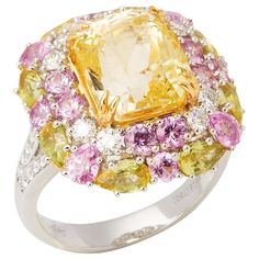 This ring designed by David Jerome is from his private collection and features one untreated octagonal scissor cut yellow Sapphire sourced in Sri Lanka. Totalling 8.14cts set with round brilliant cut Diamonds, yellow and pink Sapphires totalling 4.49cts. Mounted in an 18k white gold setting. Finger size UK N, EU size 54, USA size 6 1/2. David prides himself in only sourcing the finest and most exclusive gemstones whose natural beauty and colour enhance the settings he creates for each piece. The Sapphire Cluster Ring, Vintage Cluster Ring, Jewellery Board, Scissor Cut, Yellow Sapphire Rings, Wedding Rings Round, Yellow Rings, Cluster Rings, Special Ring