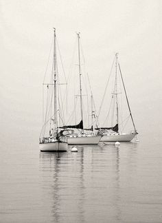 two sailboats in the water on a foggy day