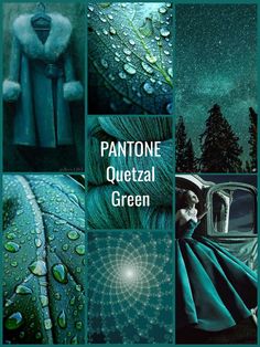 a collage of photos with the words pantonee quetzal green on them