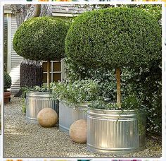 Discover innovative small garden design ideas and layout tips to transform your outdoor space into a lush retreat. Whether you have a tiny balcony or a compact backyard, these creative concepts will help you maximize every inch. From vertical gardens to clever plant arrangements, learn how to enhance your garden's beauty and functionality. Embrace your green thumb and create a charming oasis with these inspiring layouts! Small Topiary Garden, Woodland Landscaping, Small English Garden, Tudor Manor, White Flowers Garden, English Garden Style, English Garden Design, Garden Design Layout, Cottage Gardens