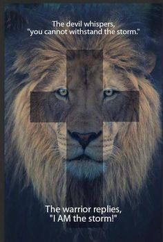 a lion's face is shown with the cross in it's eyes,