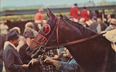 a man holding the reins of a horse in front of other people at a race track