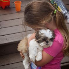 Shih Tuz, Puppies And Kitties, Teacup Puppies