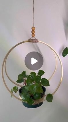 a potted plant is hanging from a hoop