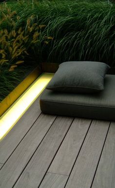 a couch sitting on top of a wooden floor next to tall grass and plants in the background