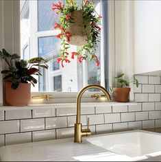 a kitchen sink under a window with potted plants on the ledge next to it